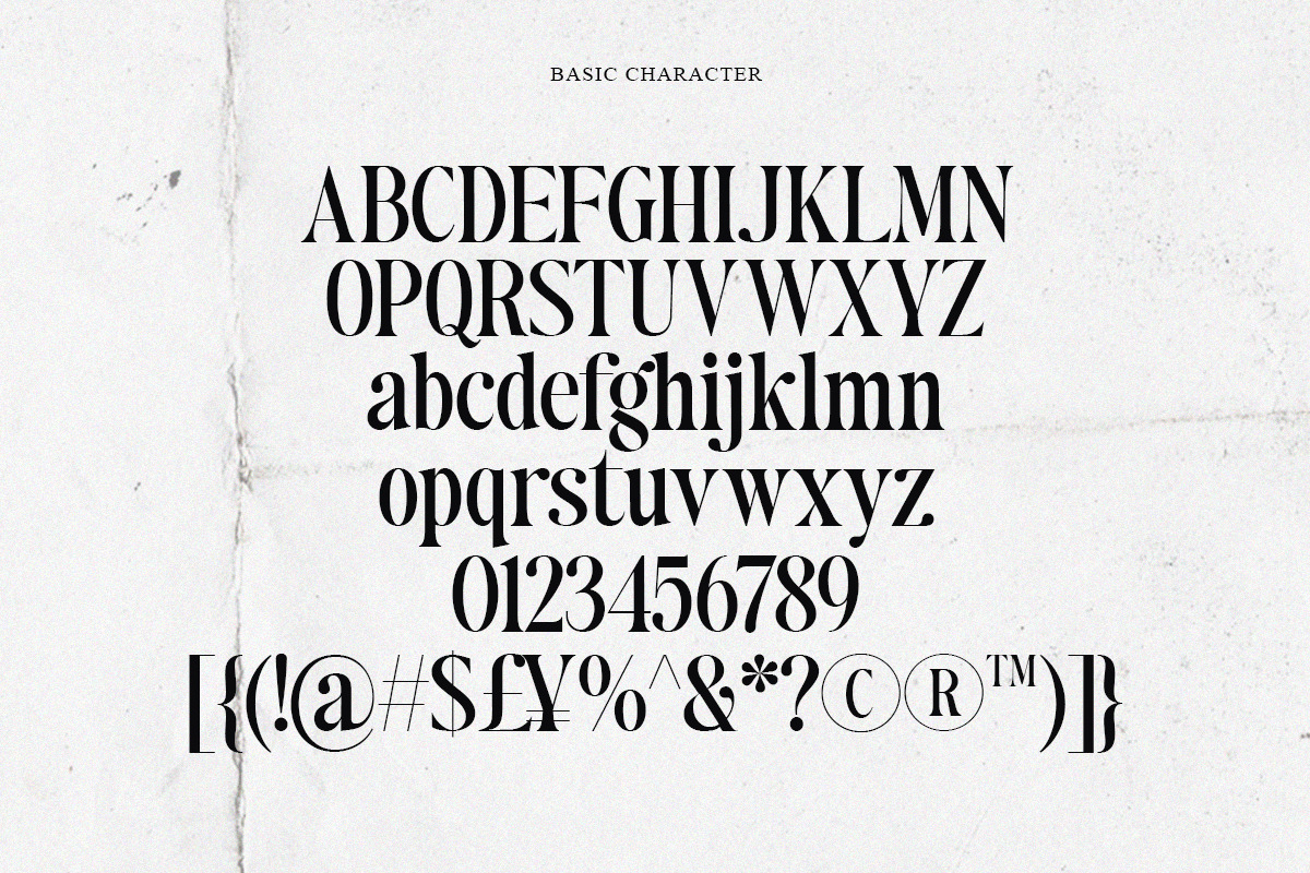 Author's Special Serif (04 fonts), a Serif Font by Positive TypeFoundry (Photo 13 of 14)