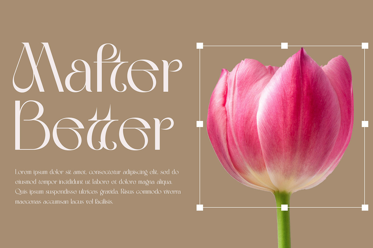 Mafter Elegant Serif Typeface, a Serif Font by Alfinart (Photo 2 of 10)