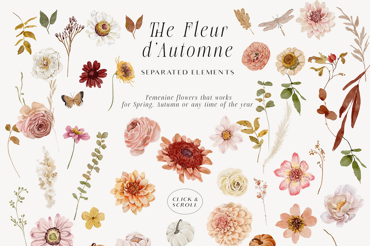 Autumn fall Watercolor warm flowers, a Seasonal Illustration by Grace Noboa Illustrations (Photo 6 of 6)