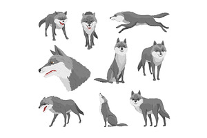 Gray wolf set. A predatory beast, an Animal Illustration by the8monkey