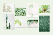 Minimal Greenery Photo Bundle, a Business Photo by Visual Bloom (Thumbnail 2 of 4)