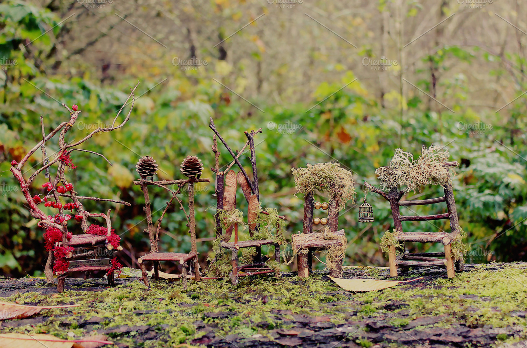 Row of Fairy Chairs, a Nature Photo by Creatively Happy Studio