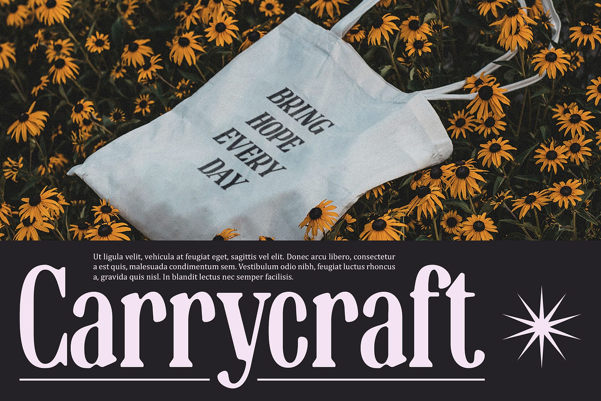 Benida Blur, a Serif Font by Craft Supply Co. (Photo 6 of 8)