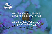 Rill Script, a Script Font by Newface (Thumbnail 5 of 6)