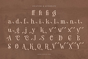 Ledira | Display Serif Font, a Serif Font by Denustudios (Thumbnail 15 of 15)