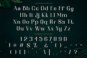 Chester Chesire - Elegant Font Duo, a Font by PutraCetol Studio (Thumbnail 13 of 13)