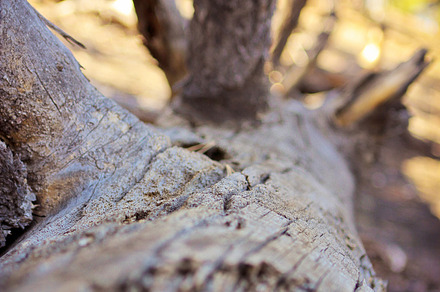Teeny Tiny preview 6