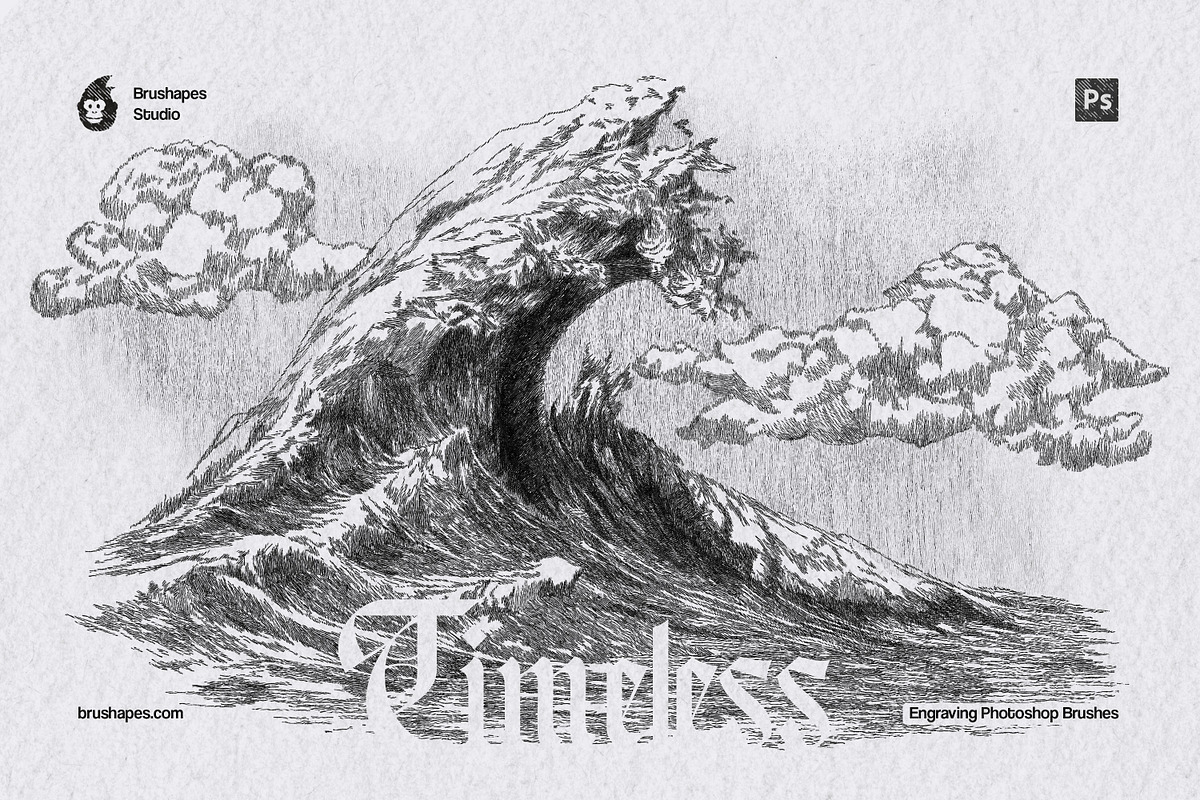 Timeless Engraving Photoshop Brushes, a Brush Add-On by brushapes.com (Photo 5 of 13)