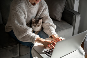 Work with cat