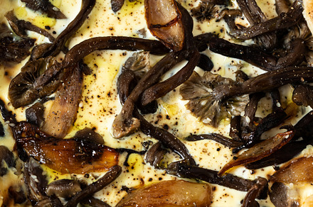 QUICHE LORRAINE pie with mushrooms and onions. minimalist style, a Food & Drink Photo by IriGri