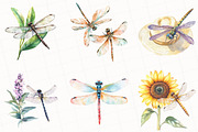 Summer Dragonfly Garden Clipart, an Illustration by OK Design (Thumbnail 4 of 5)