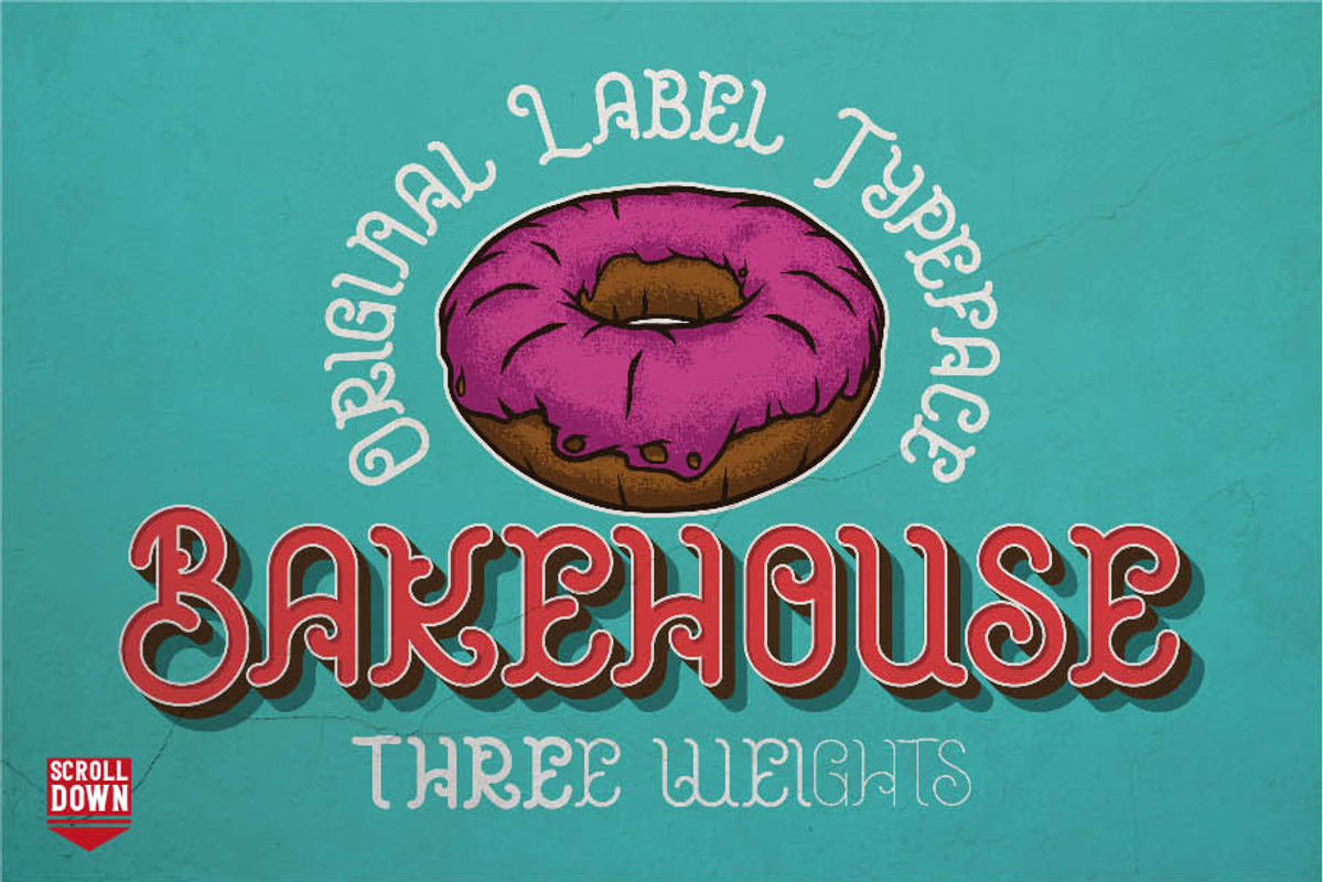 16 Font Families Bundle, a Script Font by VozzyStock (Photo 4 of 17)