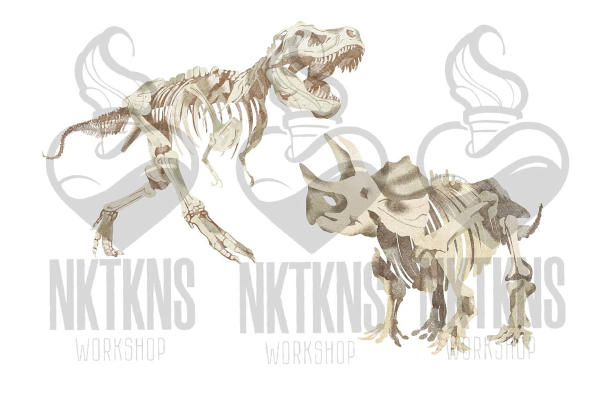 Dinosaur Skeleton Watercolor, an Animal Illustration by NKTKNS (Photo 2 of 6)