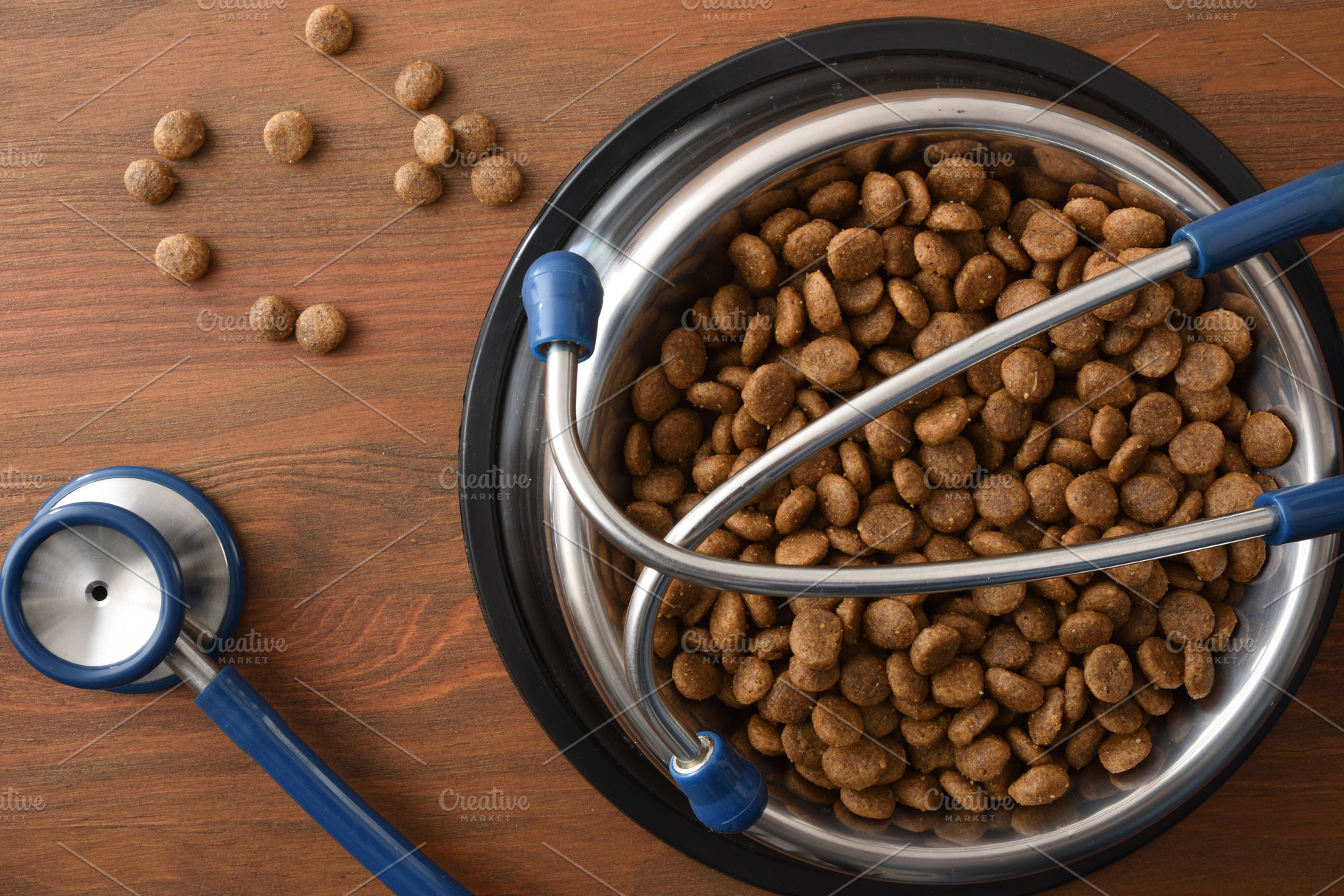 Healthy Canine Nutrition Concept with Kibble, an Animal Photo by Davizro's Market