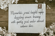 Wilfred Pearl Cursive Script, a Script Font by Viswell (Thumbnail 6 of 10)