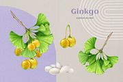 Adaptogenic Medicinal Plant Clipart, a Healthcare Illustration by AnitaPol (Thumbnail 16 of 24)