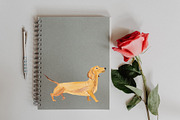 Dachshund Dog Illustration, an Illustration by Foxery Digital (Thumbnail 5 of 5)