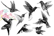 Watercolor Tropical plant & Bird, an Object Graphic by FineArt (Thumbnail 16 of 22)
