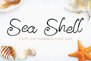 Sea Shell Script, a Script Font by tmcom (Thumbnail 1 of 13)