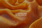 Fabric Texture Backgrounds, a Background Photo by Beshr Abdulhadi (Thumbnail 3 of 6)