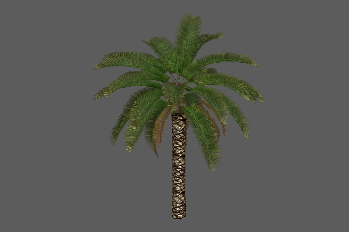 Palm_Tree_Short, an Environmental 3D Model by 2dawngames (Photo 2 of 2)
