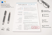 Professional Resume Format Example, a Resume Template by HIRED Design Studio (Thumbnail 16 of 18)