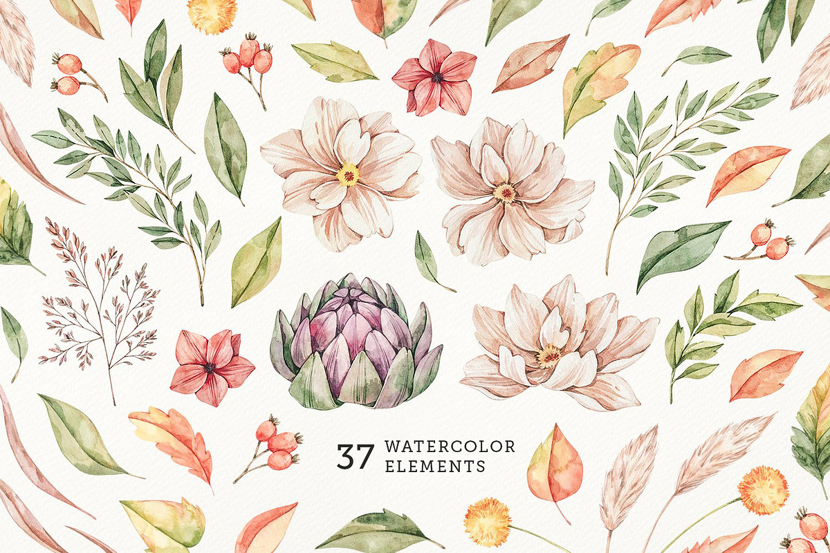 Field autumn flowers. Watercolour, an Illustration by Kate Macate (Photo 3 of 8)