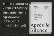 Owning Sans, a Sans Serif Font by Dora Typefoundry (Thumbnail 10 of 10)