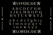 Molina Elegant Sans Serif, a Sans Serif Font by Luna Shop (Thumbnail 3 of 11)