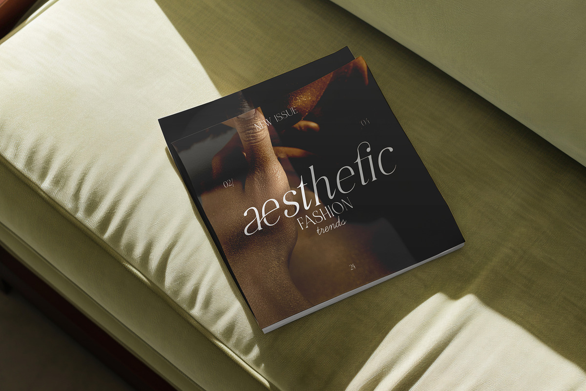 Roman Editorial + Aesthetic Script, a Font by AndrewPixelType (Photo 4 of 11)