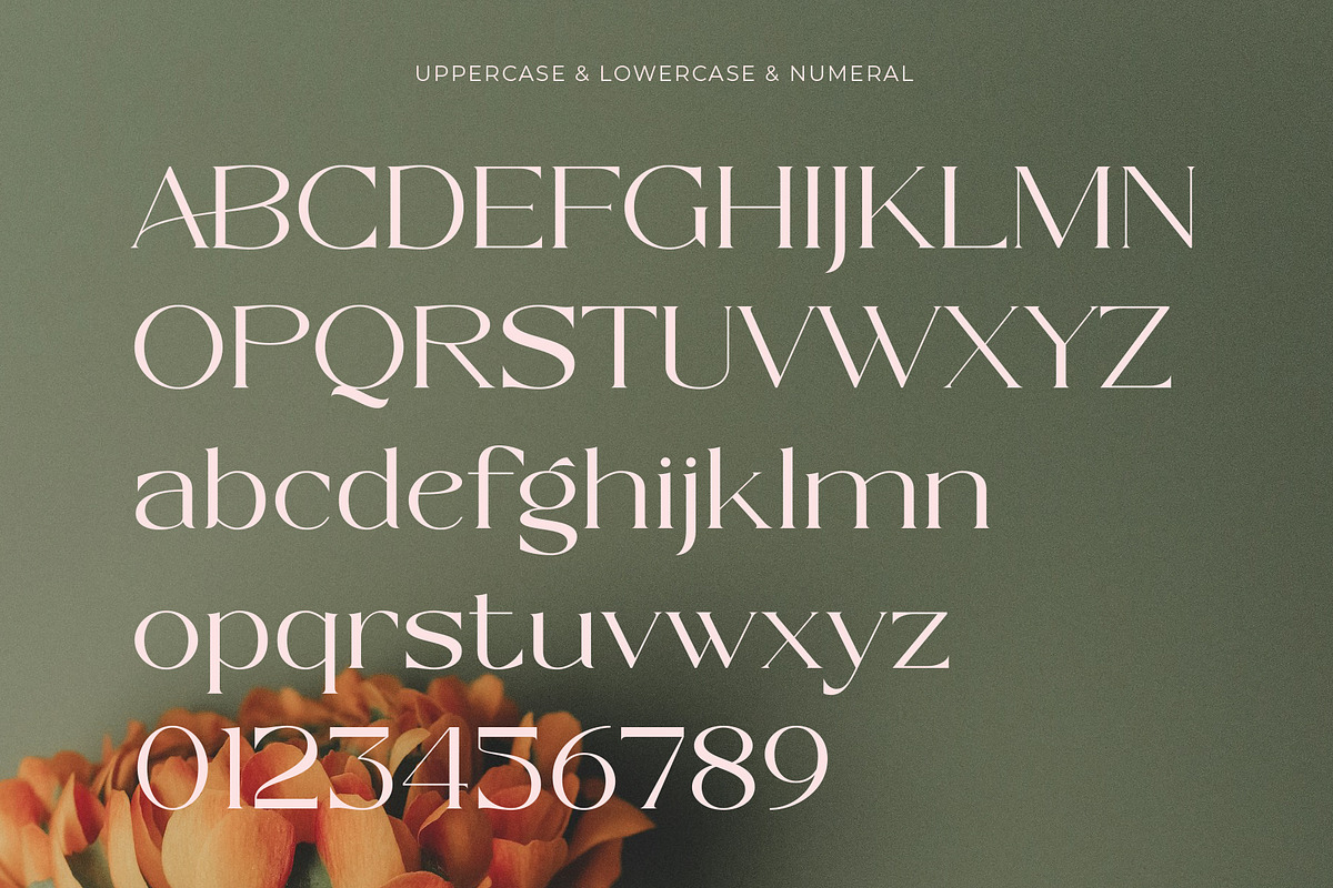 Sapyre - New Modern Elegant Serif, a Serif Font by Muflieart (Photo 8 of 10)