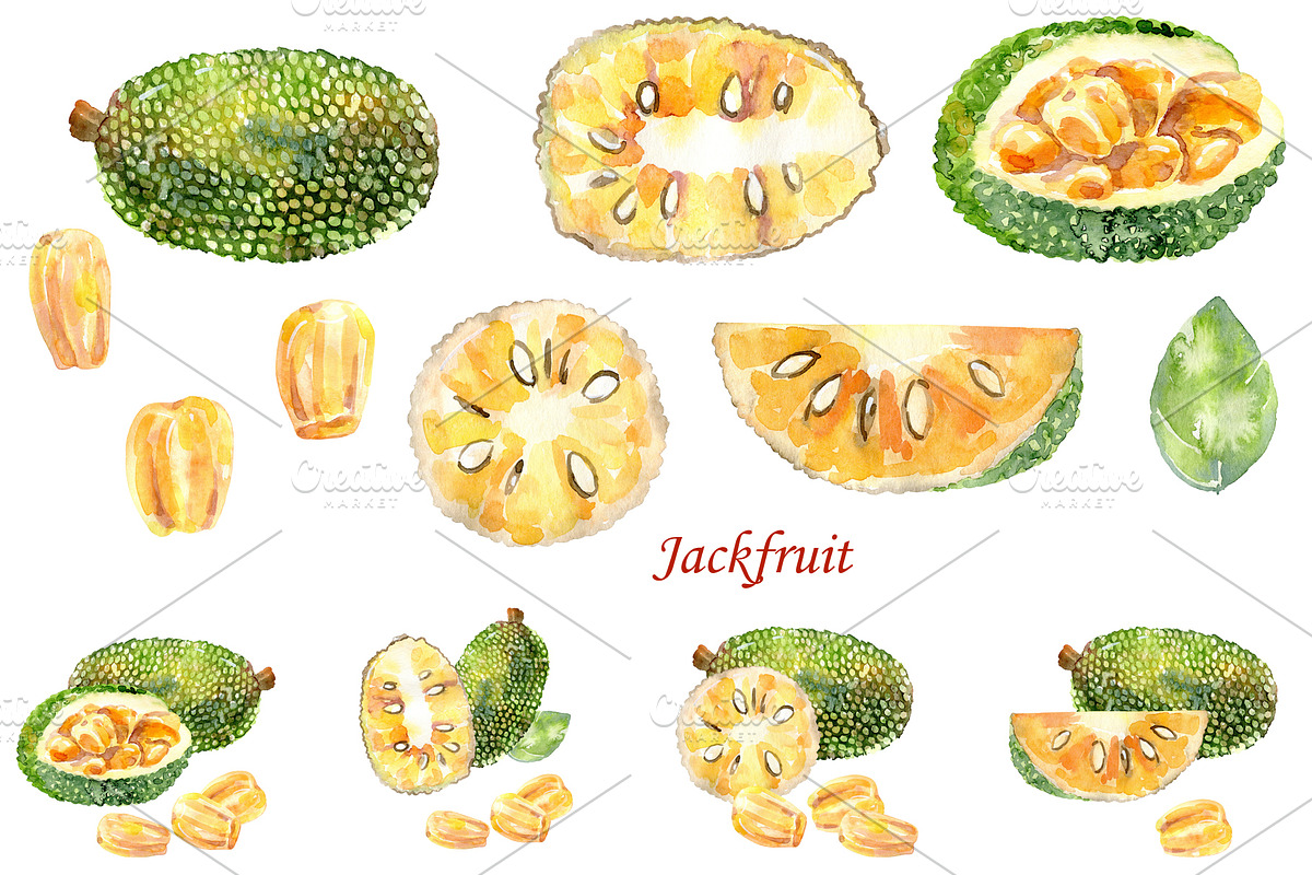 Watercolor tropical fruits., an Illustration by TaPilipa (Photo 14 of 39)