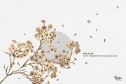 Edelweiss Watercolor Collections, an Illustration by Soir Creative (Thumbnail 2 of 5)