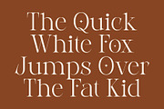 CS Aletris – Modern Serif Font, a Serif Font by Craft Supply Co. (Thumbnail 3 of 8)