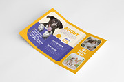 Pet Care Trifold Brochure, a Brochure Template by Designsoul14 (Thumbnail 4 of 5)