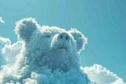 90 Clouds animals against a blue sky, an Animal Illustration by Handmadefont (Thumbnail 5 of 64)