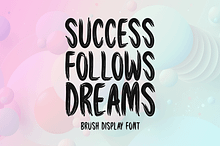 Success Follows Dreams Typeface