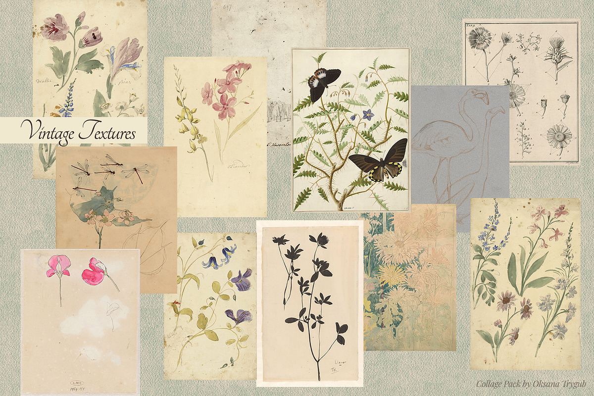 Vintage Museum Collage Elements Pack, an Object Graphic by Oksana Trygub (Photo 21 of 29)