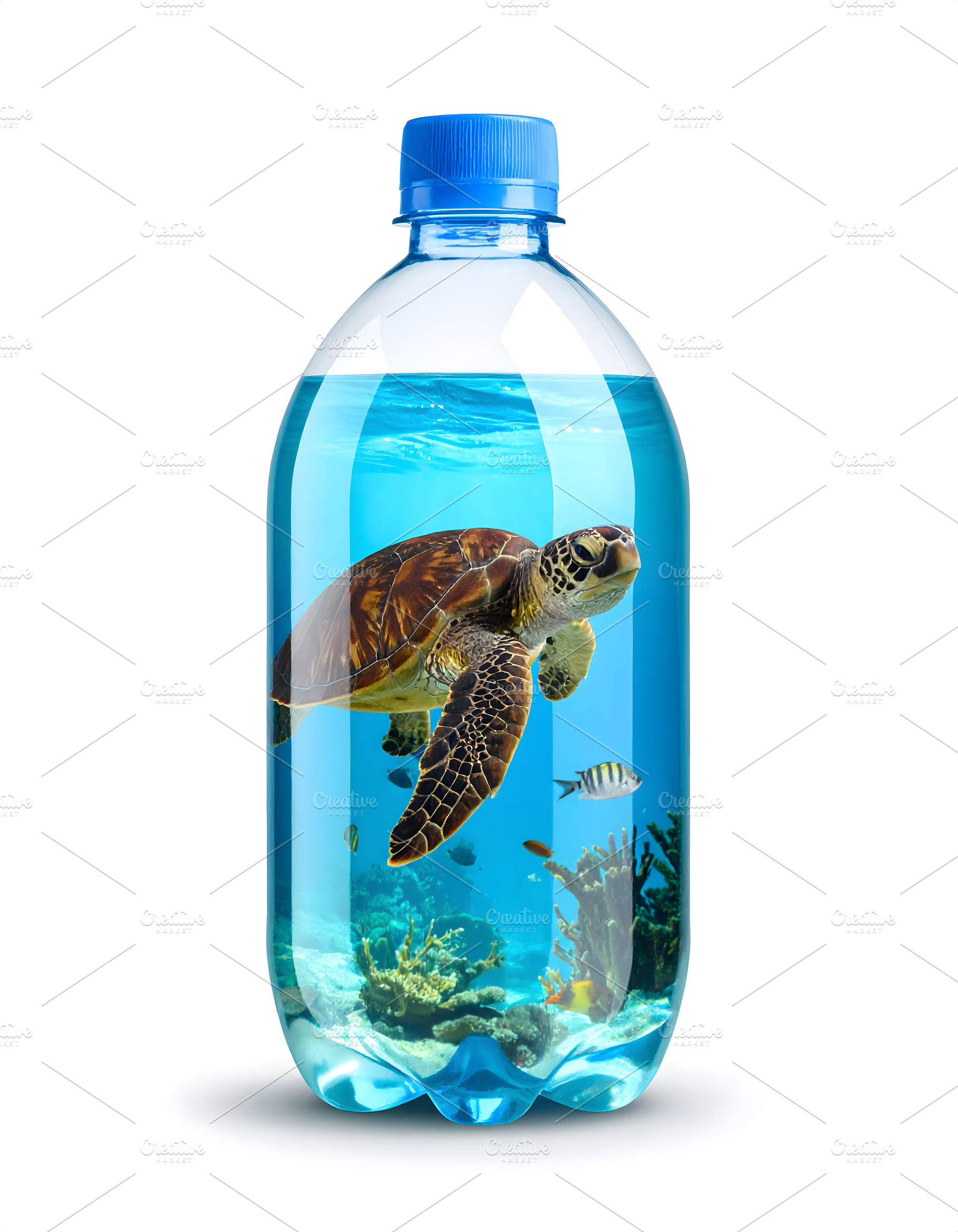 Sea turtle trapped inside plastic water bottle container, a Nature Photo by GoodGoods