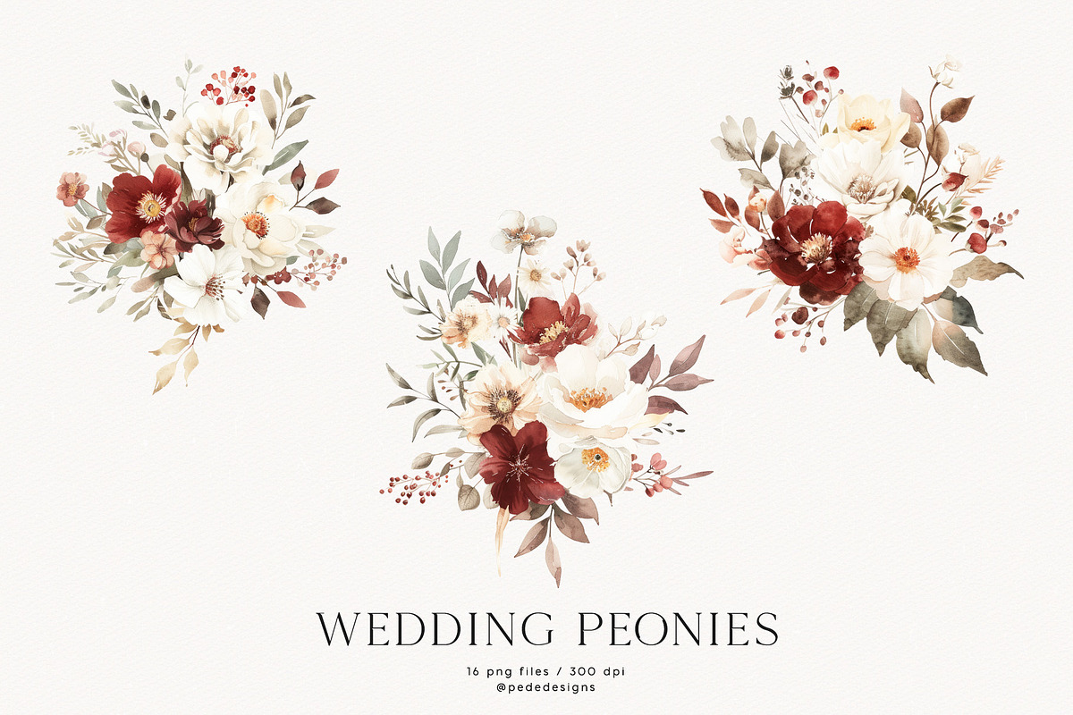 Wedding Peonies, a Decorative Illustration by PeDe Designs (Photo 8 of 10)