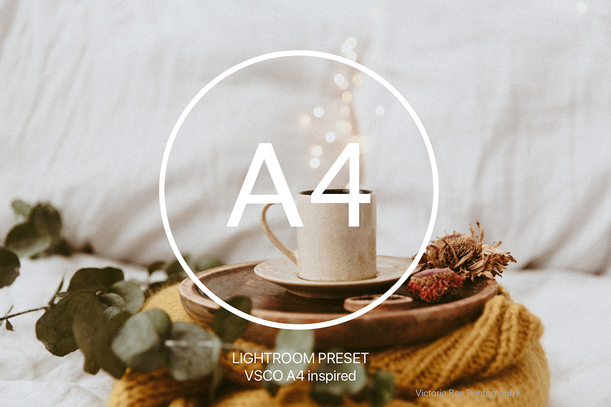 Desktop Lightroom Presets BARBERRY preview 2