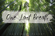Fonts Bundle, a Script Font by beeART (Thumbnail 7 of 11)