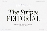 The Stripes Editorial + Italics, a Serif Font by Stripes Studio (Thumbnail 15 of 23)