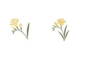Two delicate yellow freesia flowers, a Nature Photo by ZinetroN