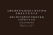 Bons Serif Typeface, a Serif Font by yaqublekker (Thumbnail 9 of 9)