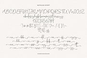 Mathilda - Modern Script, a Script Font by Sans & Sons (Thumbnail 9 of 10)
