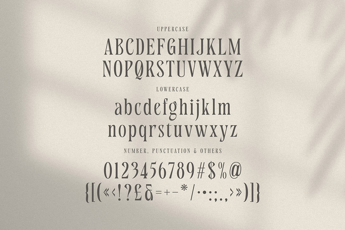 Nekavand Condensed Serif, a Serif Font by Cruzine (Photo 4 of 7)