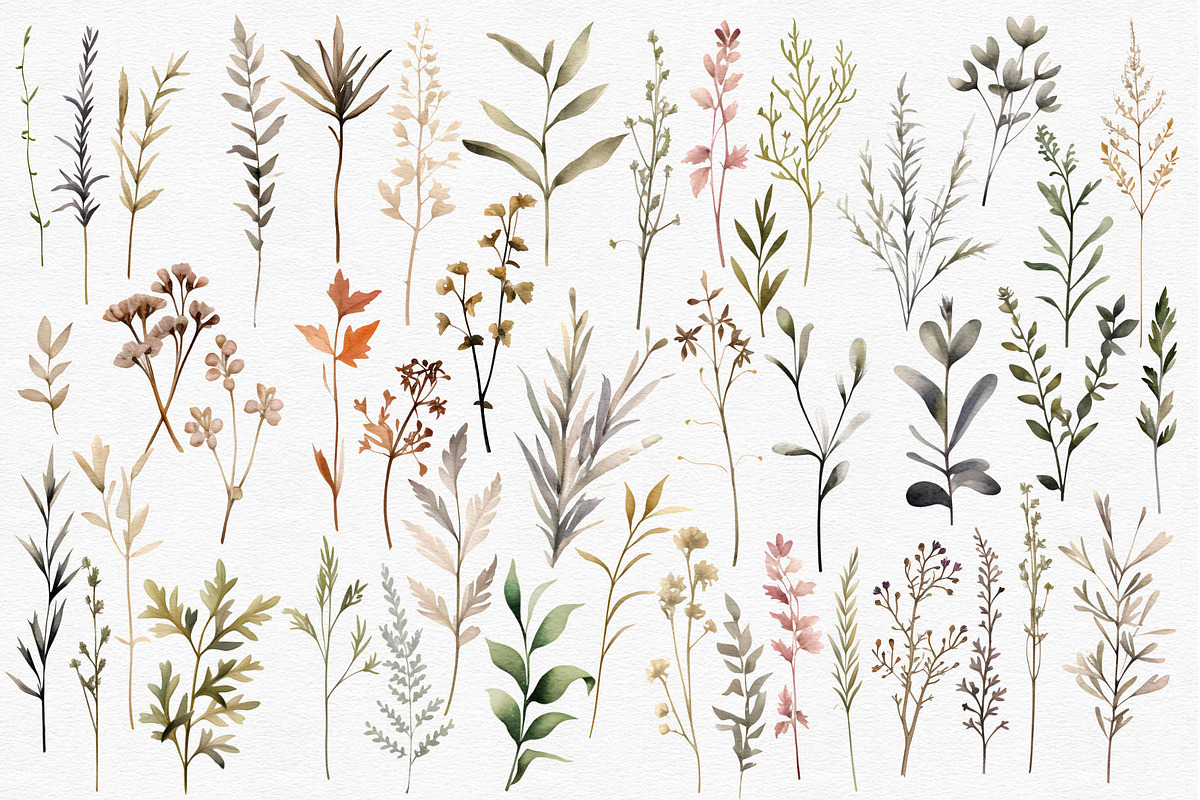 Tiny wildflowers set, a Decorative Illustration by marie dricot (Photo 4 of 15)