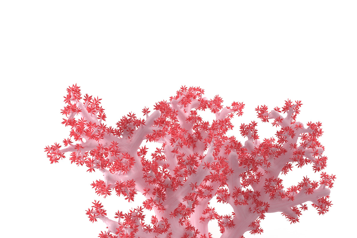 Acropora aasp 1, an Environmental 3D Model by AndrewWhite (Photo 7 of 11)