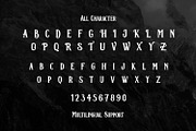 Corona, a Serif Font by edukka (Thumbnail 3 of 11)